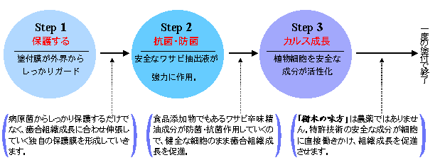 3̃Xebv/9kb