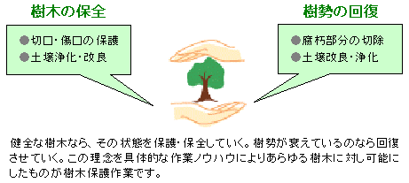 樹木保護の定義/8KB