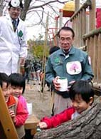 松への塗布