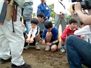 枯れ枝の観察