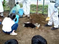 土壌改良資材投入仕上げ