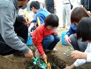 全員で土壌改良開始