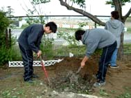 土壌改良資材投入後の埋め戻し