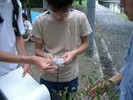 SPAD