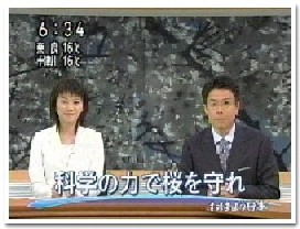 NHK͂悤{